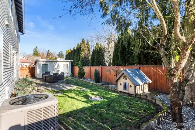 Backyard with outdoor shed!