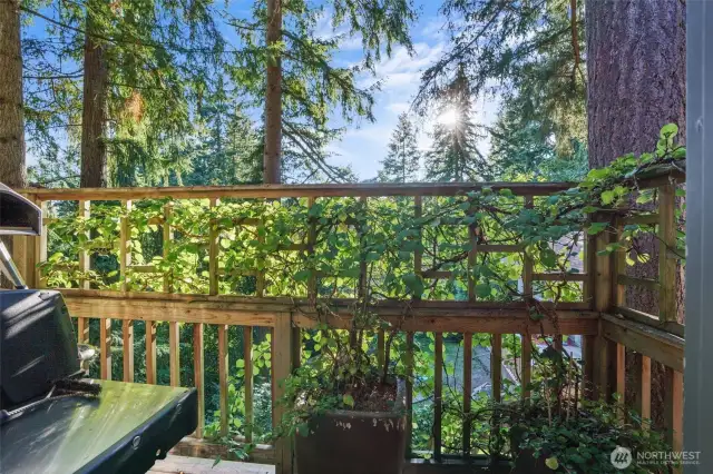 Intimate side deck extends kitchen outdoors with vine-covered trellis & dappled forest light.