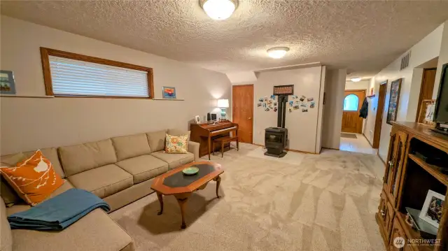 Lower level family room with electric fireplace