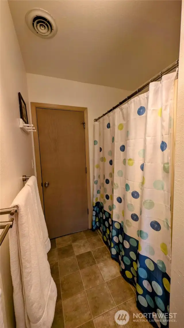 Lower level bathroom