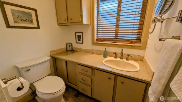 Lower level bathroom