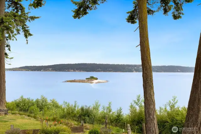 View of Baby Island from yard