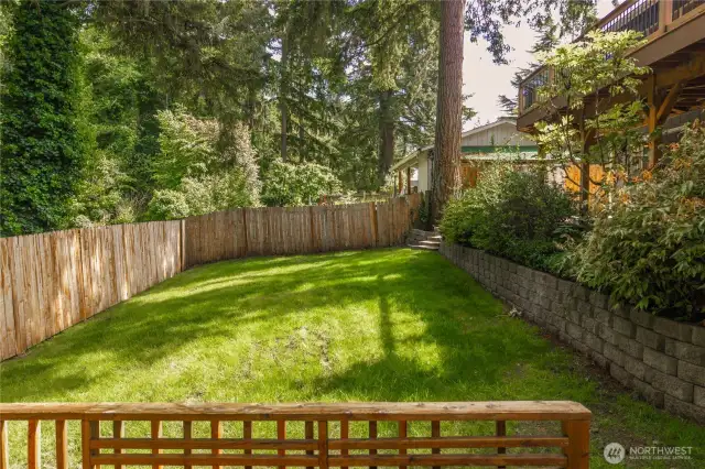 View from the lower deck onto the back lawn.