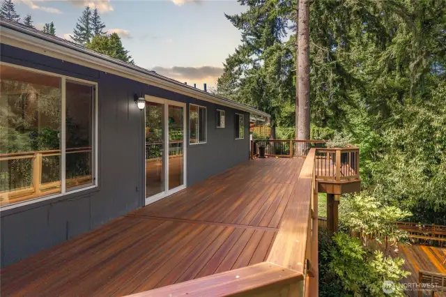 Welcome to your private deck that overlooks your backyard and an amazing greenbelt behind!