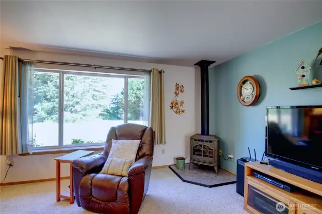 Picture window brings in the natural daylight, propane stove for those chilly days