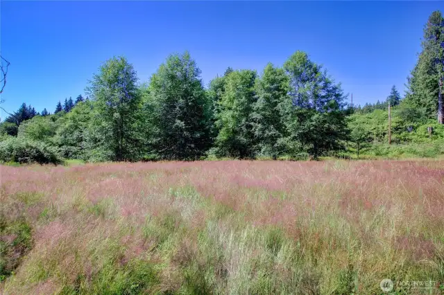 5 incredible acres!