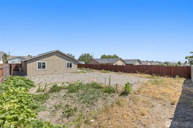 Backyard