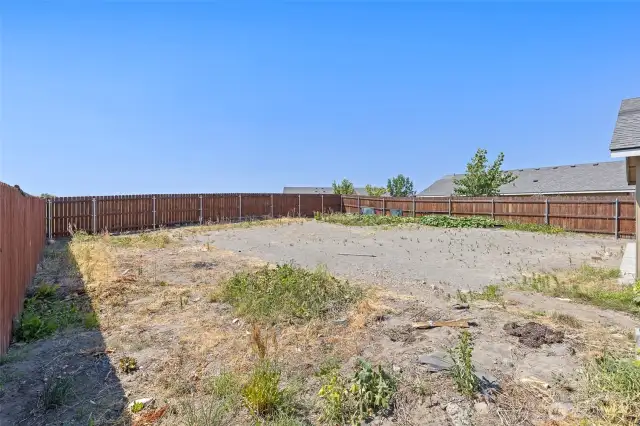 Big Backyard