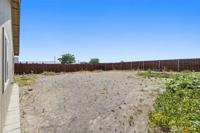 Backyard
