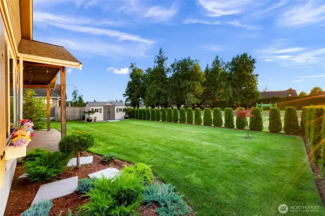 Large backyard with irrigation system