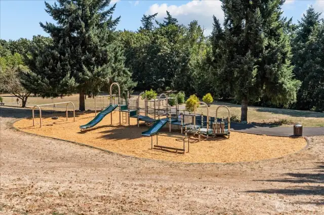 Neighborhood Park