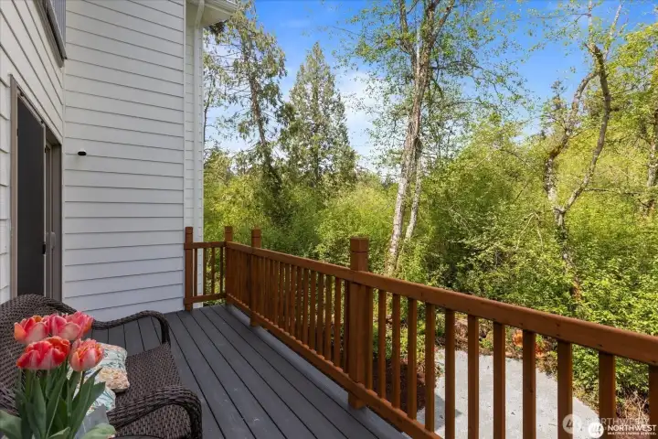 Sitting on the deck literally feels like you're in a treehouse