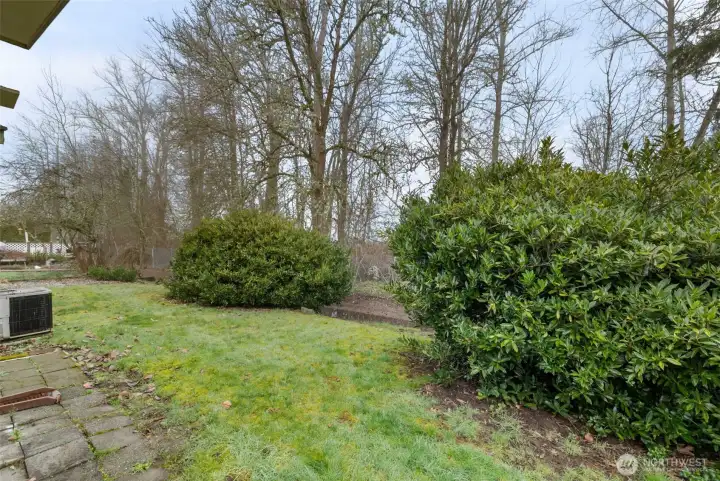 Private backyard with natural landscaping and space to enjoy the outdoors.