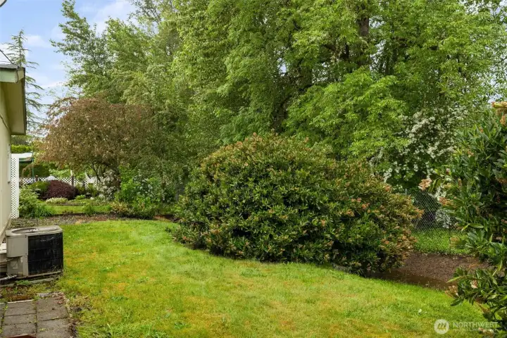 Private backyard with natural landscaping and space to enjoy the outdoors.