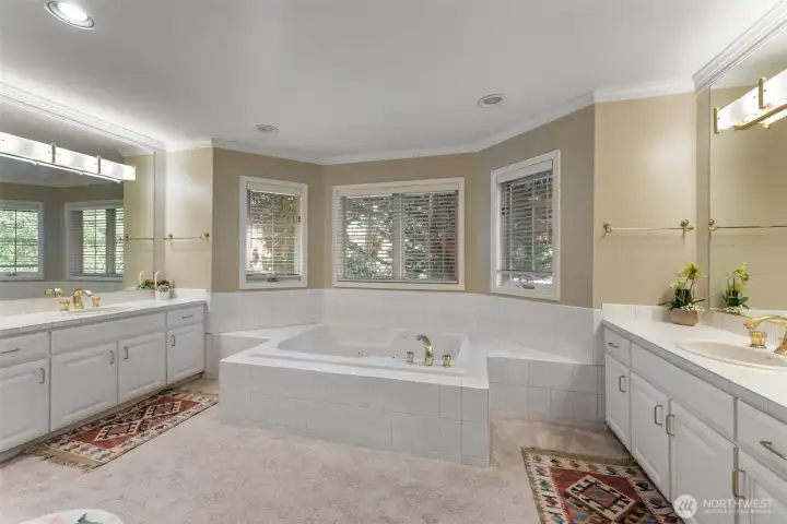 master bathroom , note the jacuzzi