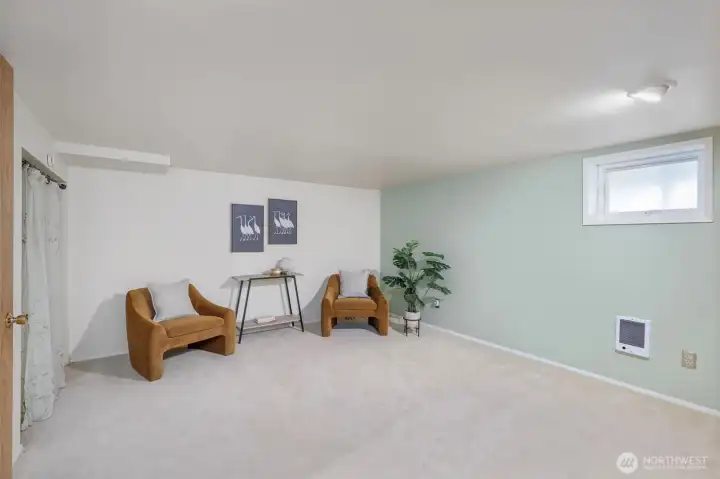 Large lower level bonus room with TWO closets!