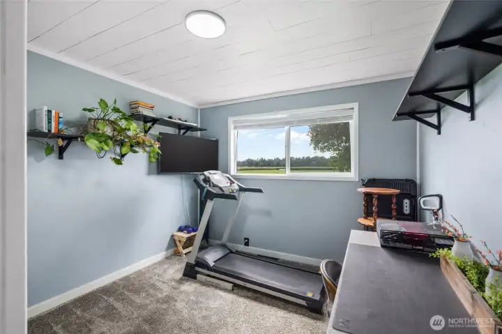 Downstairs bedroom #2