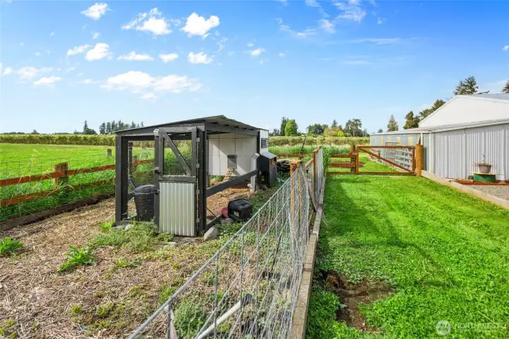 chicken coop and chicken run