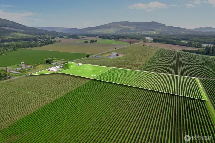 Maberry maintains the back six acres.  You get free berries!