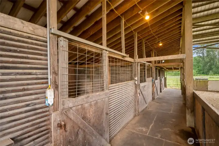 Additional Stalls