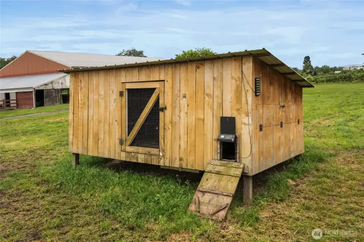 Chicken Coop