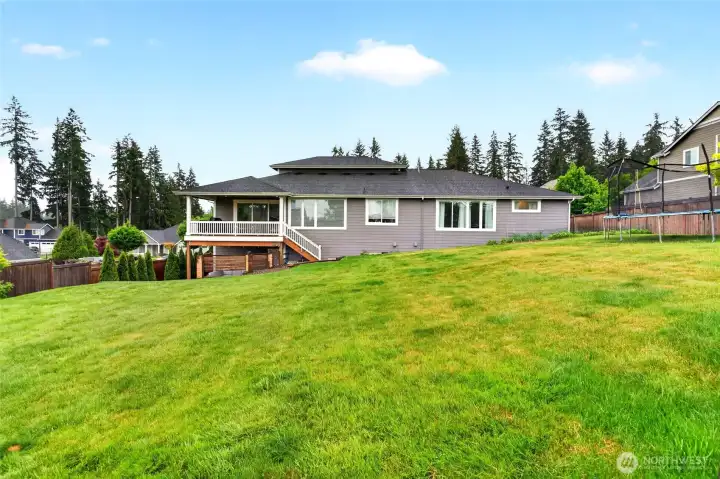 Large back yard bordered with fruit trees. There is also garden space that gets plenty of sun. Large back yard bordered with fruit trees. There is also garden space that gets plenty of sun.