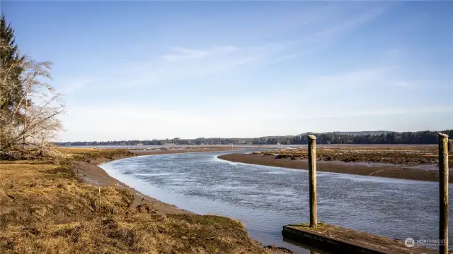 View from Community Boat Launch area looking towards Willapa Bay.