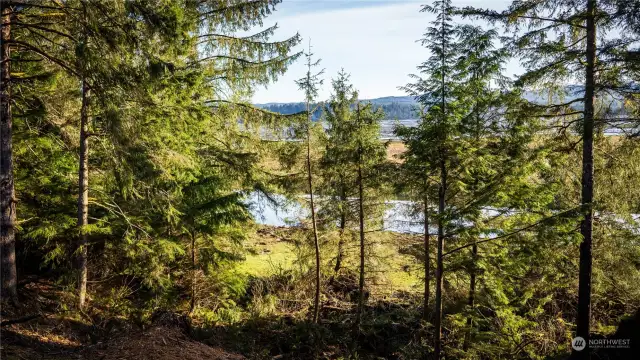 View from Parcels toward Middle Nemah River.