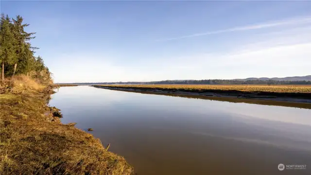 Middle Nemah River view from Lynn Point.