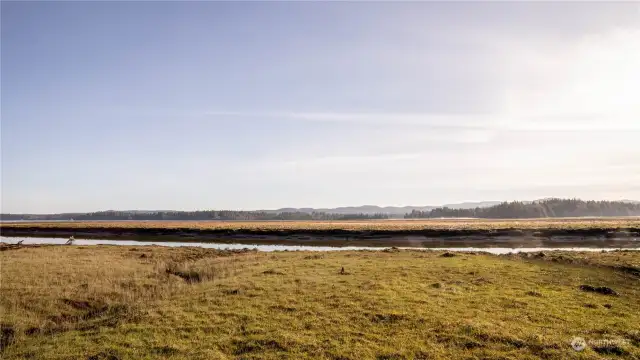 Middle Nemah River view from Lynn Point.