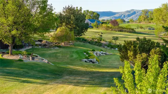 Landscaped backyard right next to the water