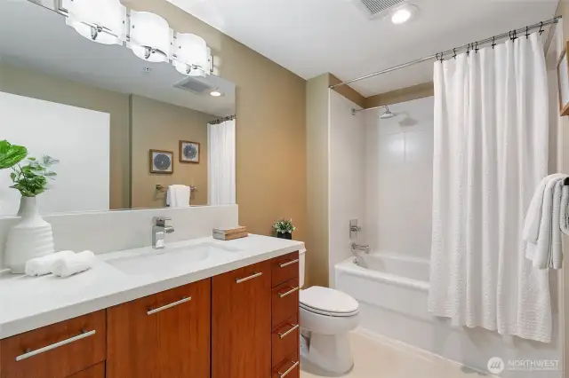 Guest bathroom