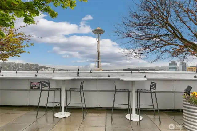 Views of the Space Needle & Elliott Bay from the rooftop deck