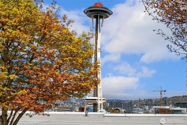 Rooftop deck with seating, landscaping & spectacular views