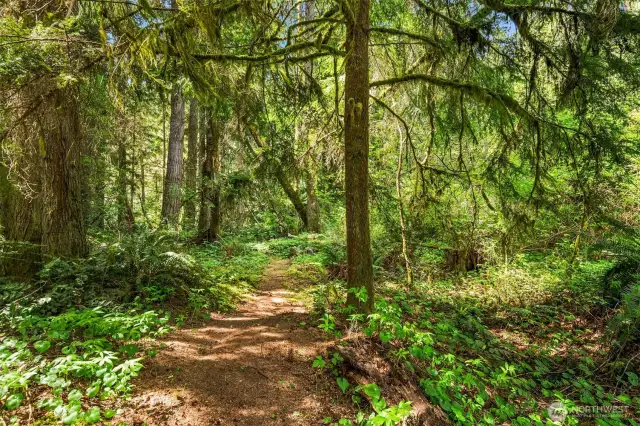 A path through the woods leads to your private fish bearing stream.