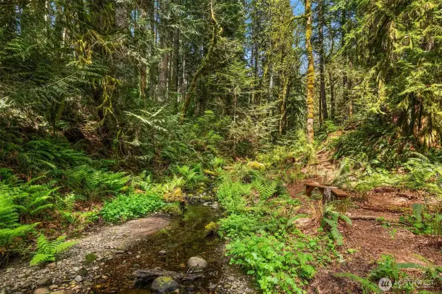 Creekside Serenity Bench!