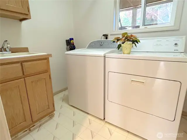 laundry room with sink