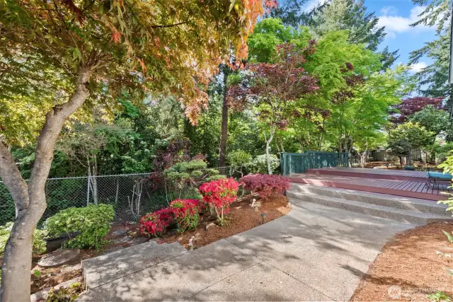 mature landscape in the backyard