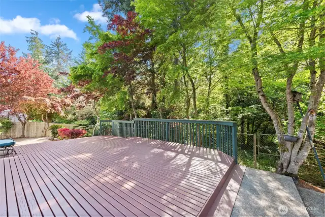 Entertainment back Deck