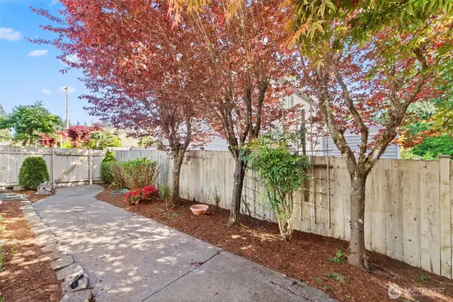 side yard