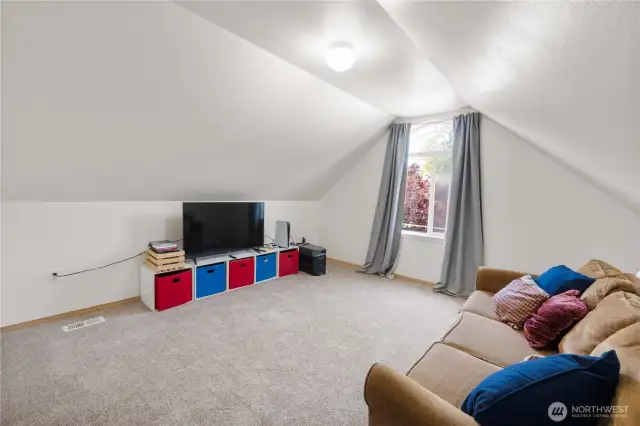 Large Bonus/Rec Room!