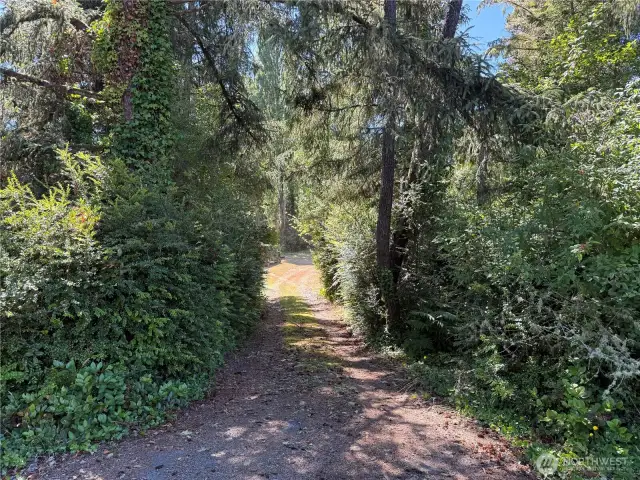 Through this driveway set away from the road is a 1/2 acre of peaceful property.
