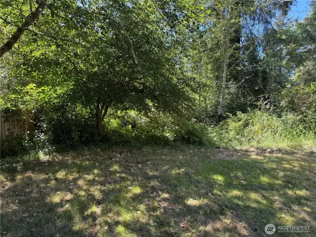 Back of property is forest.