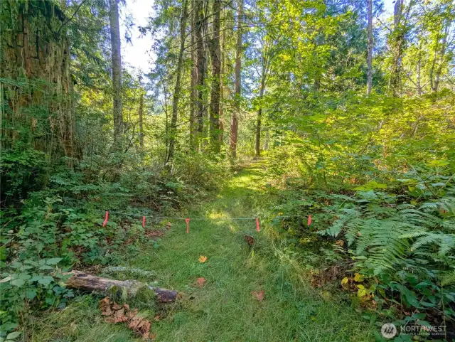 A lot of the boundary's are marked. Please reach out to co-listing agent, Cliff Mull for guided tour!