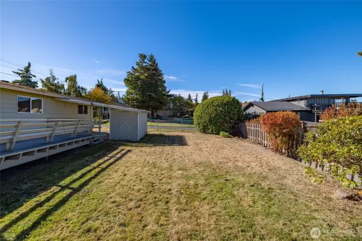 Lovely back yard.