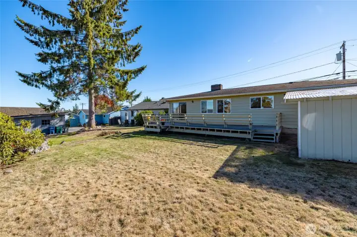 Back of the house and yard.