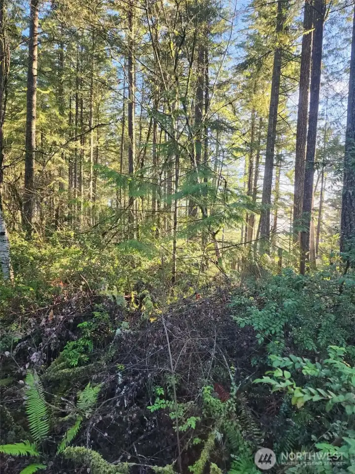 All the privacy. This can be yours!