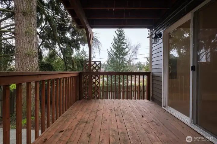 lower deck off family room