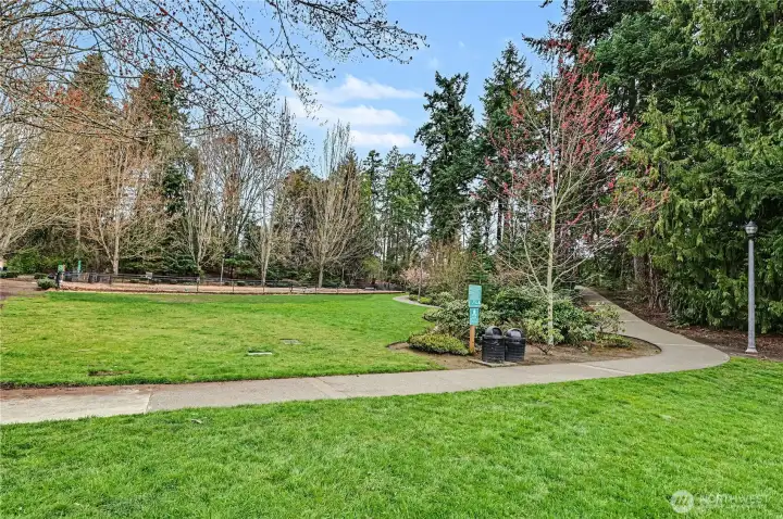 Serene park across from the condo.