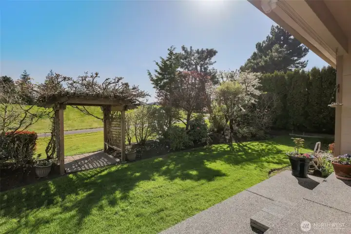 View from back patio to walking trials.